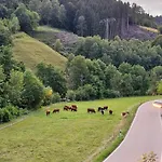 Vordere Halde Appartement