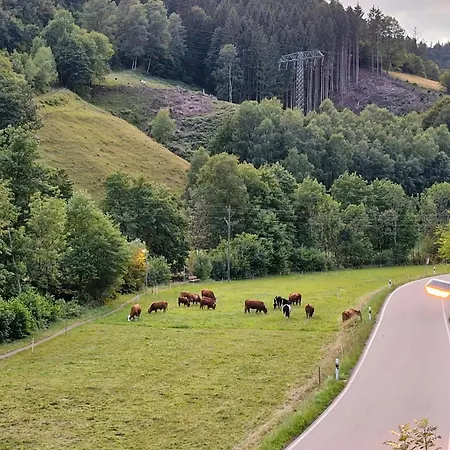 Vordere Halde Apartman *