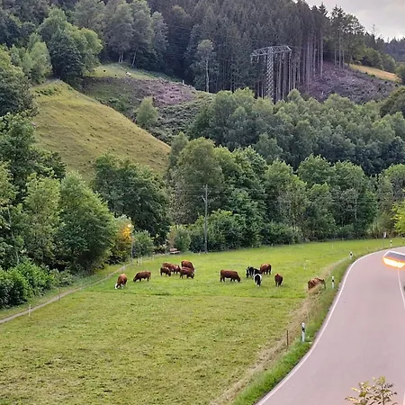 Vordere Halde 아파트