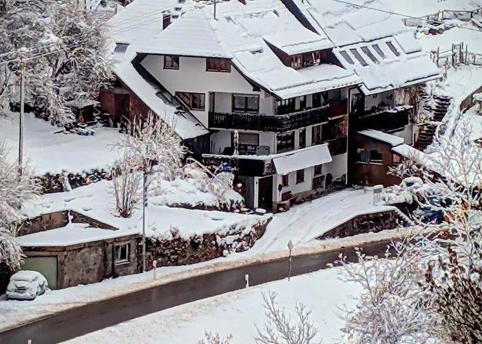 Vordere Halde Апартаменты *