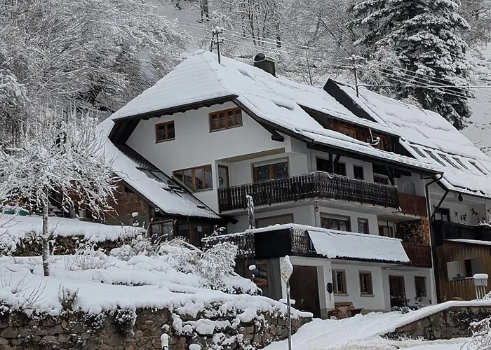 Vordere Halde Апартаменты